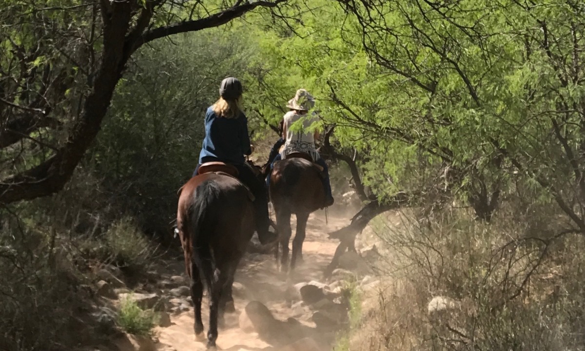 Julie Potker on a horse trail at Miraval Resorts Life in Balance Spa