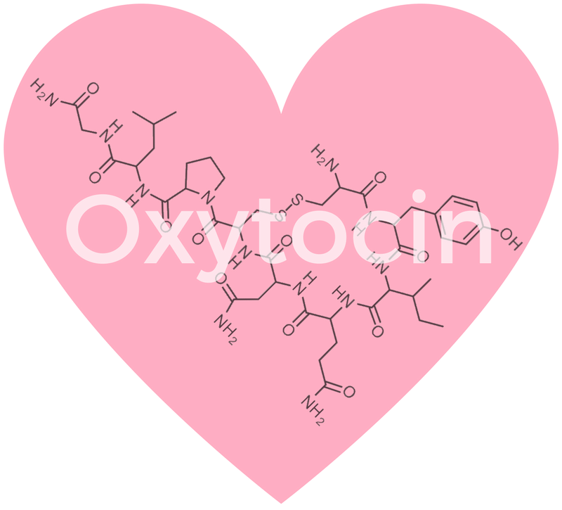 Great Oxytocin And Touch As A Tool For Fostering Forgiveness And Compassion In Relationships  Check it out now 