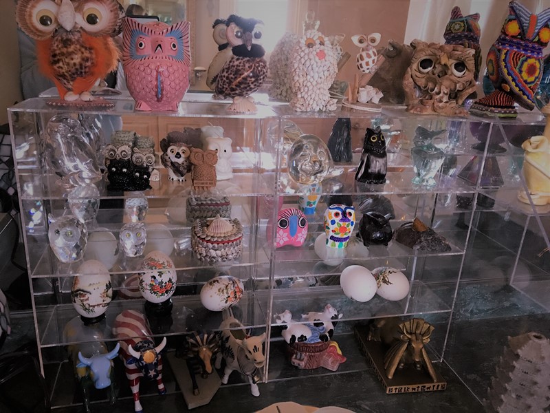 owl and cow collection on display