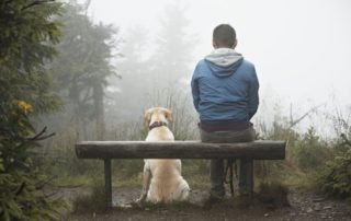 Practice Mindfulness with Animals