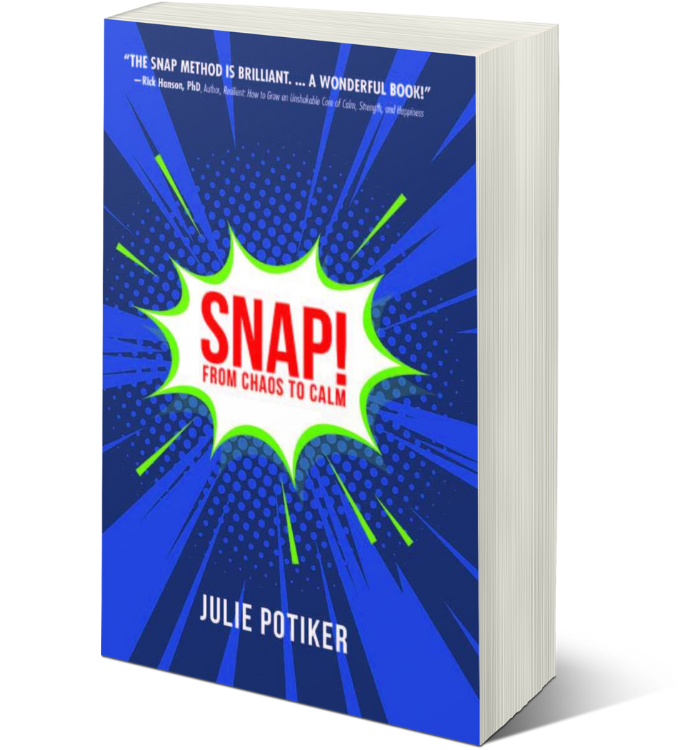 SNAP! From Chaos to Calm by Julie Potiker