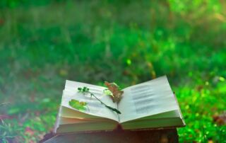 Healing Through Poetry