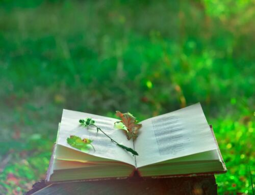 Healing Through Poetry: Finding comfort and catharsis in creativity