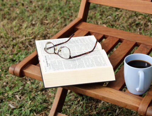 Start Your Day Mindfully in Nature’s Calm: Morning Time in July