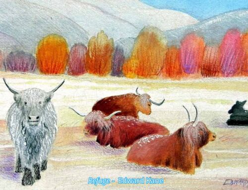 Act, Connect, and Care for Yourself: Keeping Hope Alive in Bleak Times